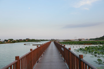 伊佐沼　遊歩道