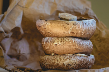 Mushrooms, stacked ad isolated