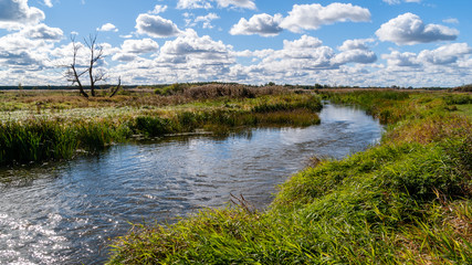 Narwiański Park Narodowy, Polska, Podlasie © podlaski49