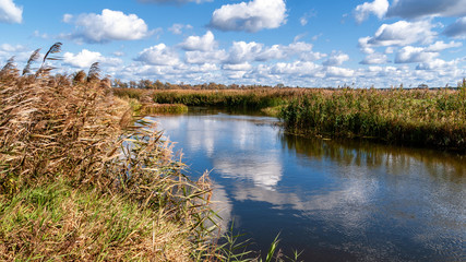 Narwiański Park Narodowy, Polska, Podlasie © podlaski49