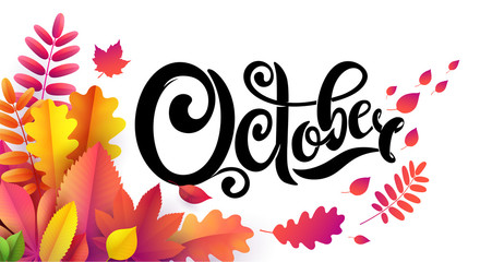 Vector hand written beautiful lettering text October On leaf background. Decorated with bouquet autumn falling leaves © Irina