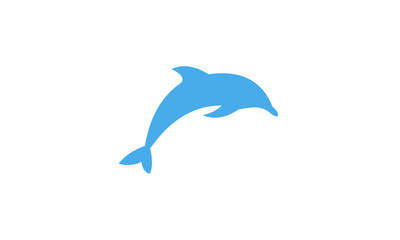 dolphin vector