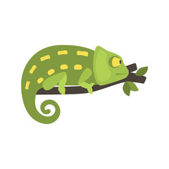 Chameleon color vector icon. Flat design