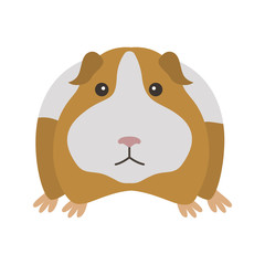 Guinea pig color vector icon. Flat design