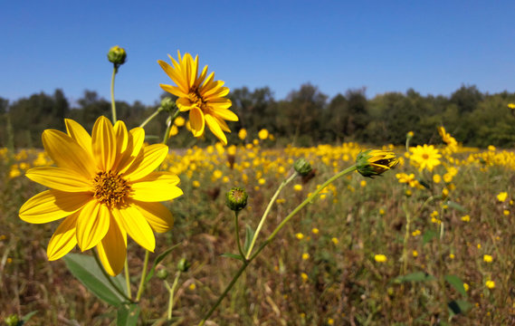 รูปภาพCiclico เลือกดูภาพถ่ายสต็อก เวกเตอร์ และวิดีโอ230 Adobe Stock