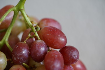 Weintrauben, rot