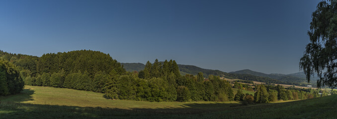 View from Ludvikovske pass with green forest