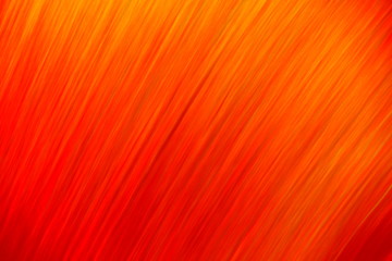 An Abstract Photo of Hair, Showing Strands of Graduated Colourful Orange and Yellow Golden Locks