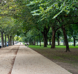 Walk in the Park