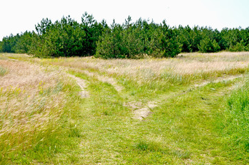 Two roads, two ways.