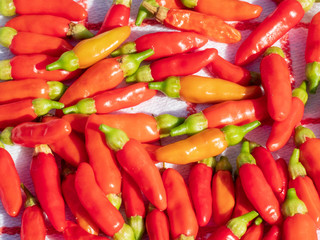 Harvested small red chilli which are real hot and nature grown