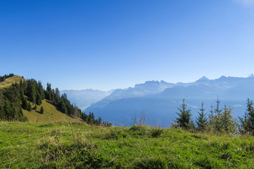 Naklejka premium Hiking in the stunning Swiss mountains, view of the alps, green grass, forest swiand footpath