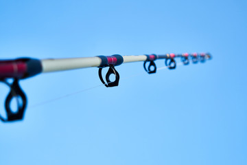 Fishing Rod Detail
