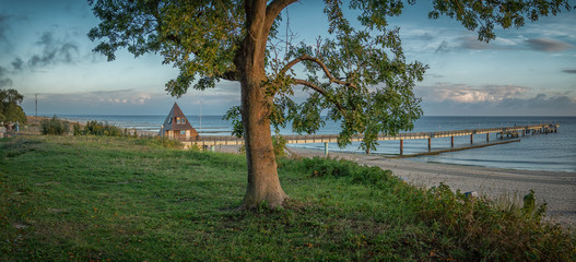 Seebr&uuml;cke Koserow mit Baum Panorama