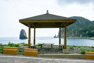 Ulleungdo island is one of the famous tourist site where is made by volcano. There are varous oddly formed rocks and strangely shaped stones, and clean air in the East sea.