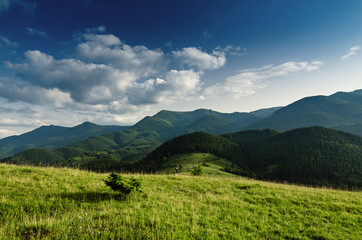 Obraz premium Carpathian mountains summer landscape with blue sky and clouds, natural outdoor background