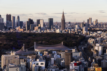 Looking Tokyo skyline