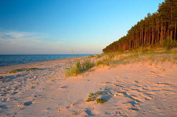 Empty wild beach with the rays of the passing sun. Baltic sea coast. Latvia. - 225064367