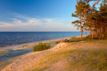 Empty wild beach in the rays of the passing sun. Baltic sea coast. Latvia. - 225064525