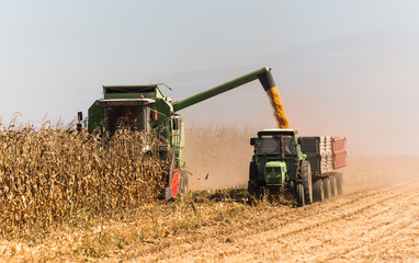 Obraz premium Pouring corn grain into tractor trailer after harvest