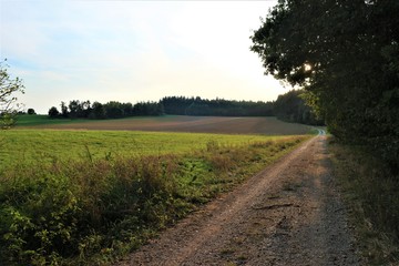 Landwirtschaft - Felder