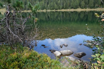lago panorama natura acqua riva ruscello fiume alberi foresta verde rocce pietre riva parco veduta 