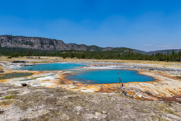 Several hot springs with bright blue water, Yellowstone National Park, USA
