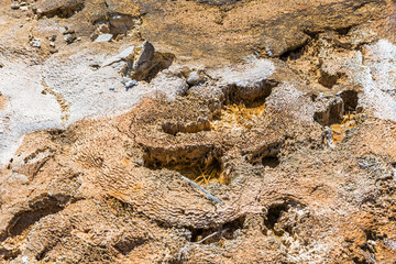 Side of hot spring (Yellowstone  NP)