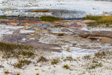 colorful sides of hot spring (Yellowstone NP)