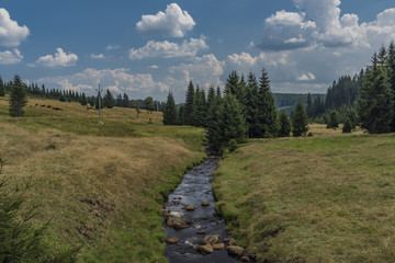 Rolava river in summer hot sunny day before storm