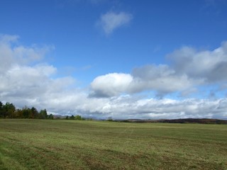 Fototapeta premium Plaine encore verte