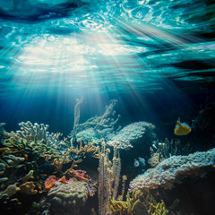 a beach underwater