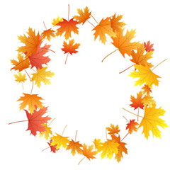 Naklejka na ściany i meble Maple leaves vector background, autumn foliage on white graphic design.