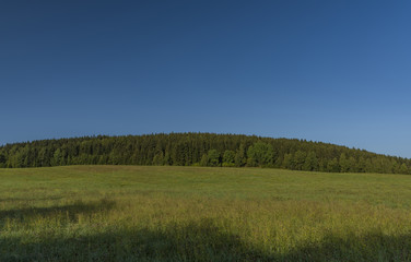 Obraz premium Forest and meadow over Kraslice town in summer very hot morning