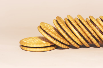 chocolate cookies isolated on pink background
