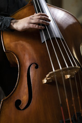 A person playing a double bass - obrazy, fototapety, plakaty