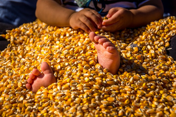 baby playing in a corn kernel bath 