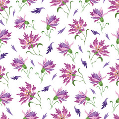 Seamless vector pattern with cornflowers on white a background