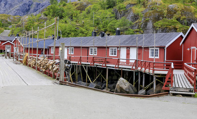 Obraz premium Wanderlust in Nusfjord fishing village in Lofoten, Northern Norway