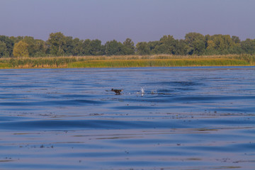 The Dnieper River in the village of Kushugum