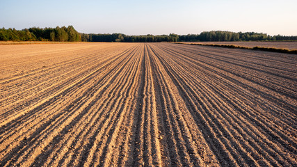 Krajobraz wiejski, Polska, Podlasie © podlaski49