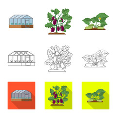 Isolated object of greenhouse and plant sign. Set of greenhouse and garden stock symbol for web.