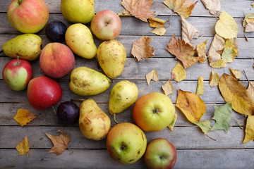 Various colorful fruits on autumn wooden table