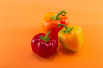 Sweet bell pepper on a colored background. Studio light. Top view