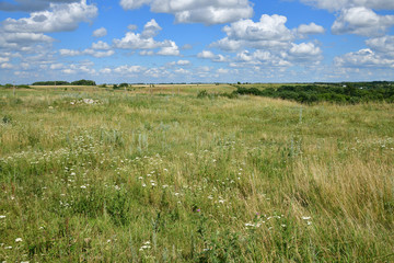 Steppe rural landscape in Russia in July