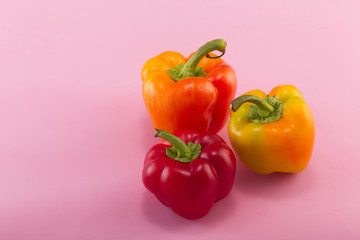 Sweet bell pepper on a colored background. Studio light. Top view
