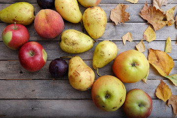 Naklejka na ściany i meble Various colorful fruits on autumn wooden table