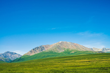 Giant mountains with snow above green valley under clear blue sky. Meadow with rich vegetation of highlands in sunlight. Amazing sunny mountain landscape of majestic nature.