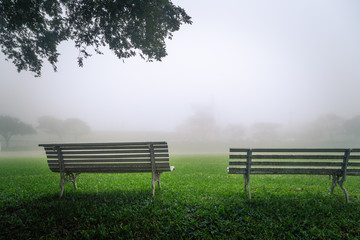 A view from behind two benches in a beautiful green landscape on a foggy morning.