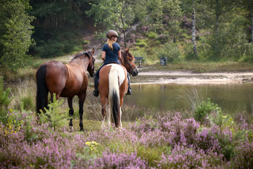 Mädchen mit Pferden in der Heide